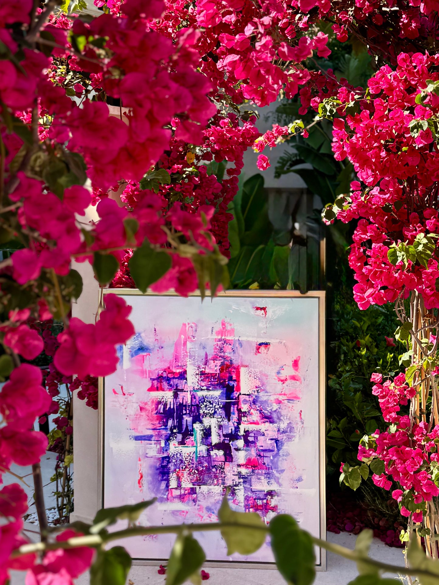 Bougainvillea Dreams – Limited Edition Fine Art Print | Bougainvillea Collection