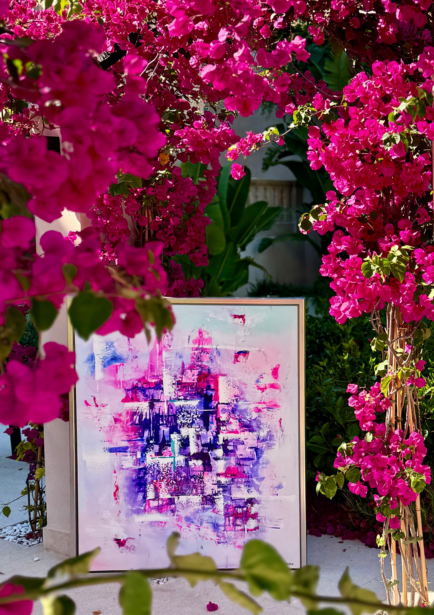 Bougainvillea Dreams – Limited Edition Fine Art Print | Bougainvillea Collection